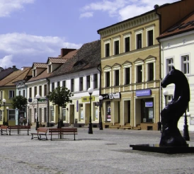 Subregion koniński